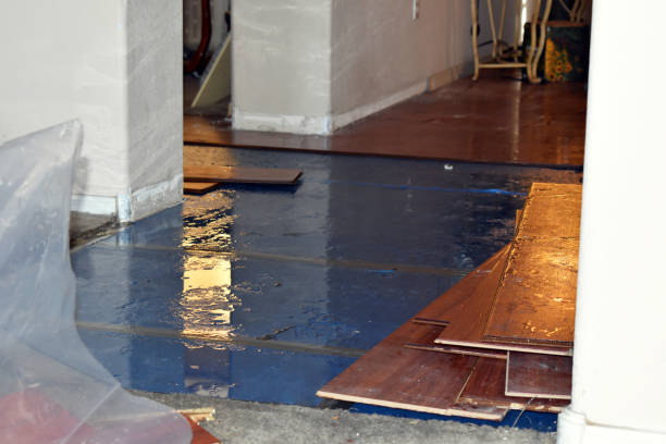 Professional Sewage Cleanup technician working in East Andover, ME